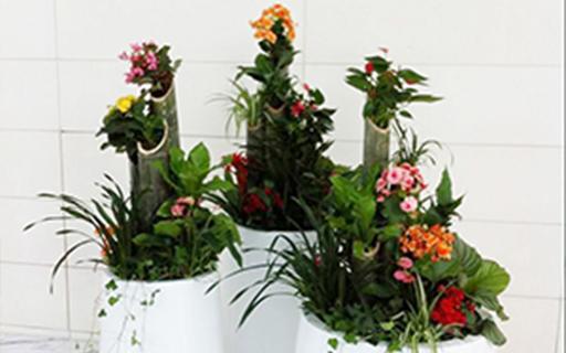 bevictorΰ�¹��� - Τ�¹ٷ���վ