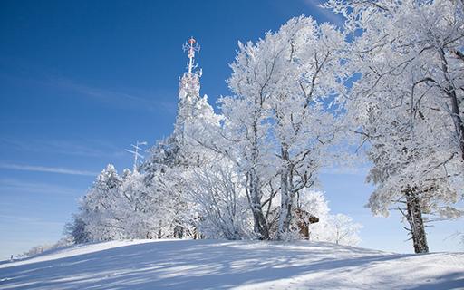 bevictorΰ�¹��� - Τ�¹ٷ���վ