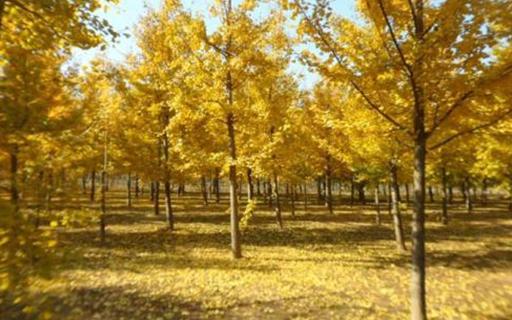 bevictorΰ�¹��� - Τ�¹ٷ���վ