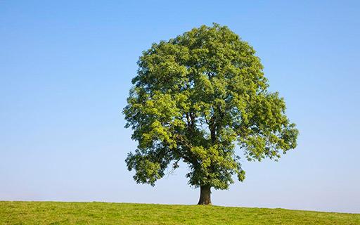 bevictorΰ�¹��� - Τ�¹ٷ���վ