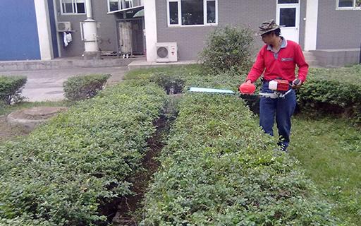 bevictorΰ�¹��� - Τ�¹ٷ���վ