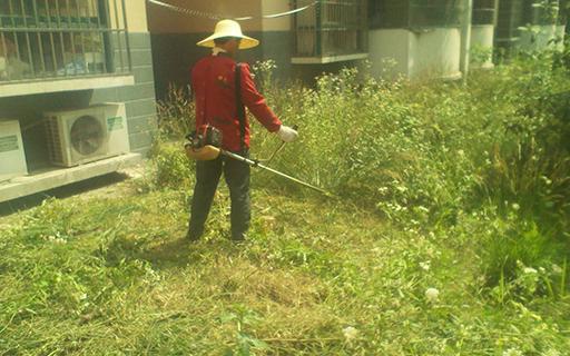 bevictorΰ�¹��� - Τ�¹ٷ���վ