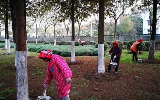 bevictorΰ�¹��� - Τ�¹ٷ���վ