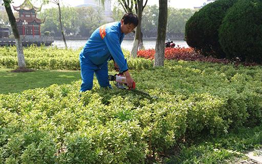 bevictorΰ�¹��� - Τ�¹ٷ���վ