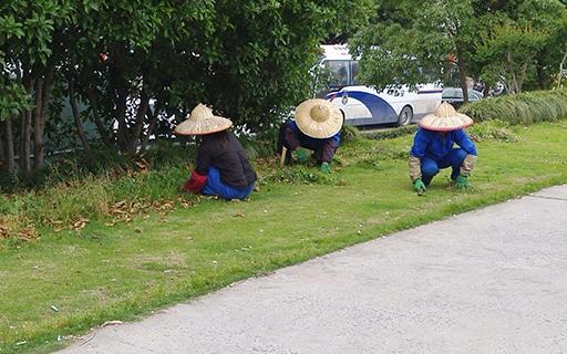 bevictorΰ�¹��� - Τ�¹ٷ���վ