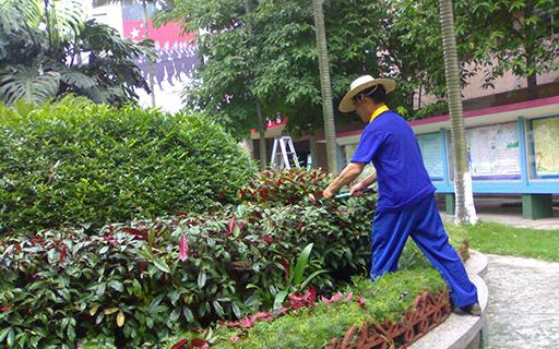 bevictorΰ�¹��� - Τ�¹ٷ���վ