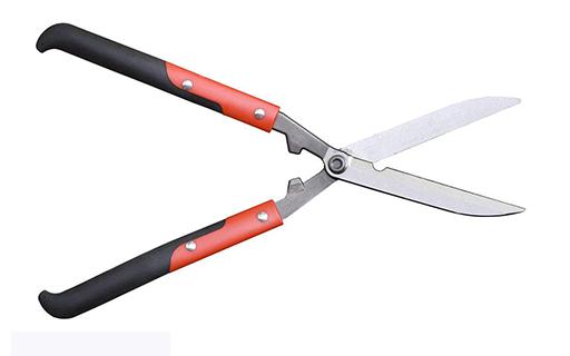 bevictorΰ�¹��� - Τ�¹ٷ���վ