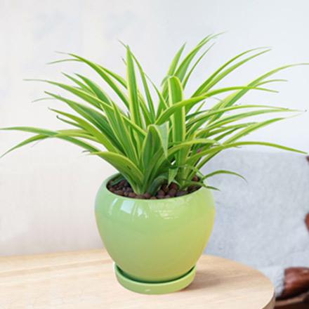 bevictorΰ�¹��� - Τ�¹ٷ���վ