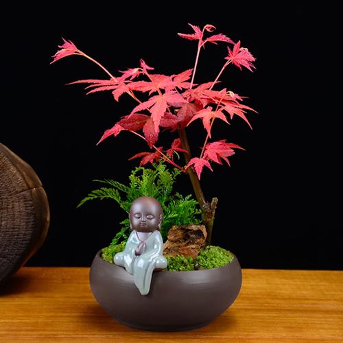 bevictorΰ�¹��� - Τ�¹ٷ���վ