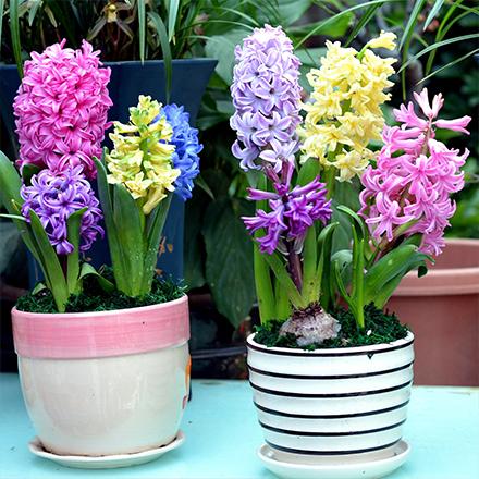 bevictorΰ�¹��� - Τ�¹ٷ���վ