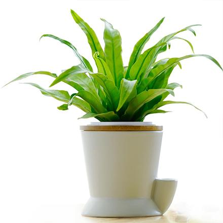 bevictorΰ�¹��� - Τ�¹ٷ���վ