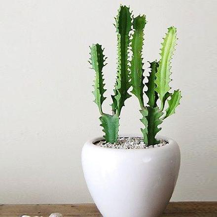 bevictorΰ�¹��� - Τ�¹ٷ���վ