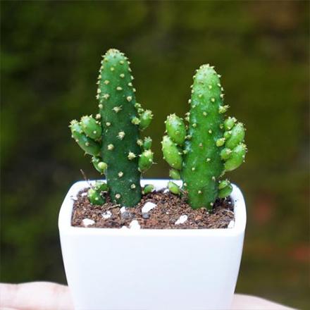 bevictorΰ�¹��� - Τ�¹ٷ���վ