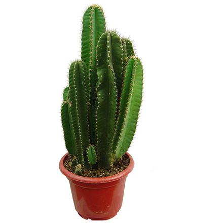 bevictorΰ�¹��� - Τ�¹ٷ���վ