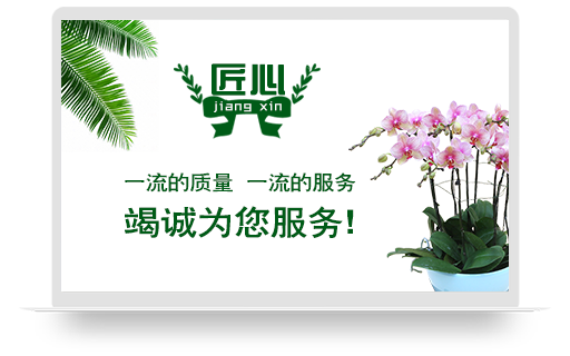 bevictor伟德官网 - 韦德官方网站