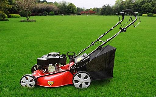 bevictorΰ�¹��� - Τ�¹ٷ���վ