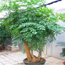 ΢��ͼƬ_20180411151512