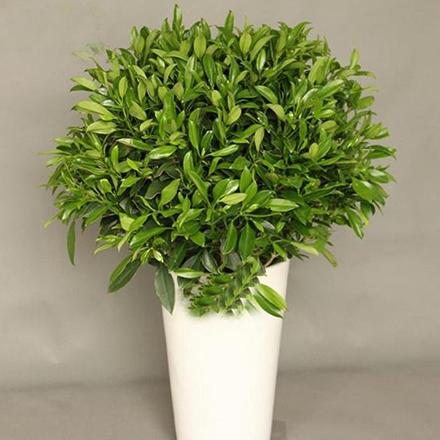 bevictorΰ�¹��� - Τ�¹ٷ���վ