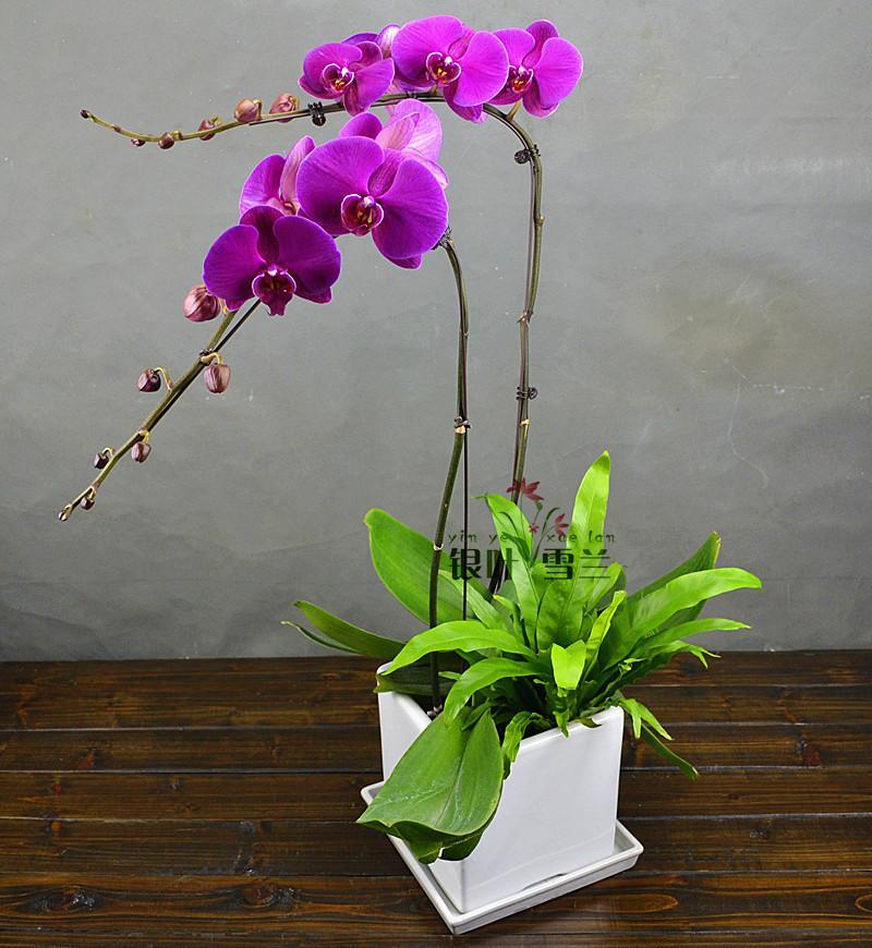 ������33