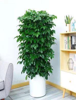 ΢��ͼƬ_20220520162859