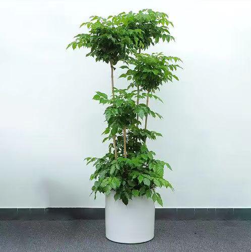 ΢ÐÅͼƬ_20220520162825