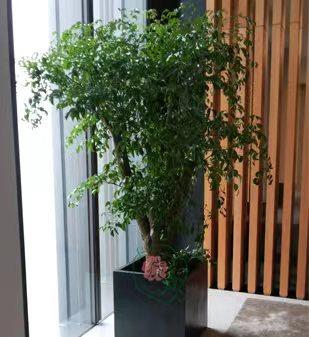 ΢��ͼƬ_20220520162737