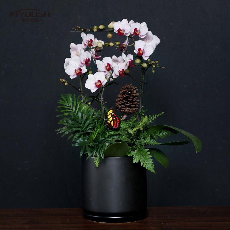 ������22 (2)