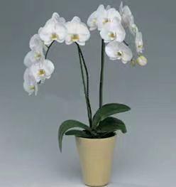 ������19