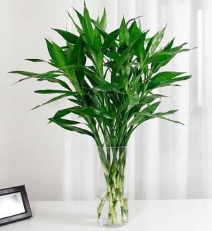 ������2 (2)