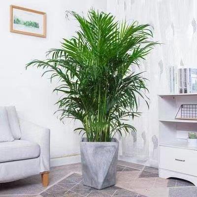 ΢��ͼƬ_20220520162741