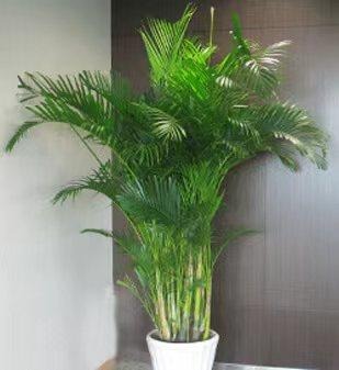 ΢��ͼƬ_20220520162732