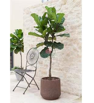 ΢��ͼƬ_20220520162850