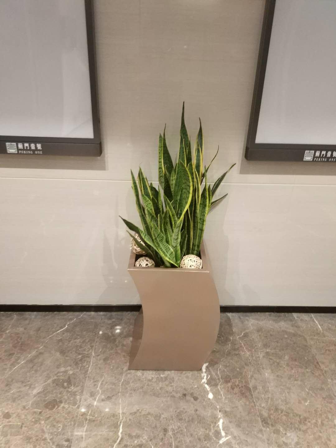 ΢��ͼƬ_20180904220951