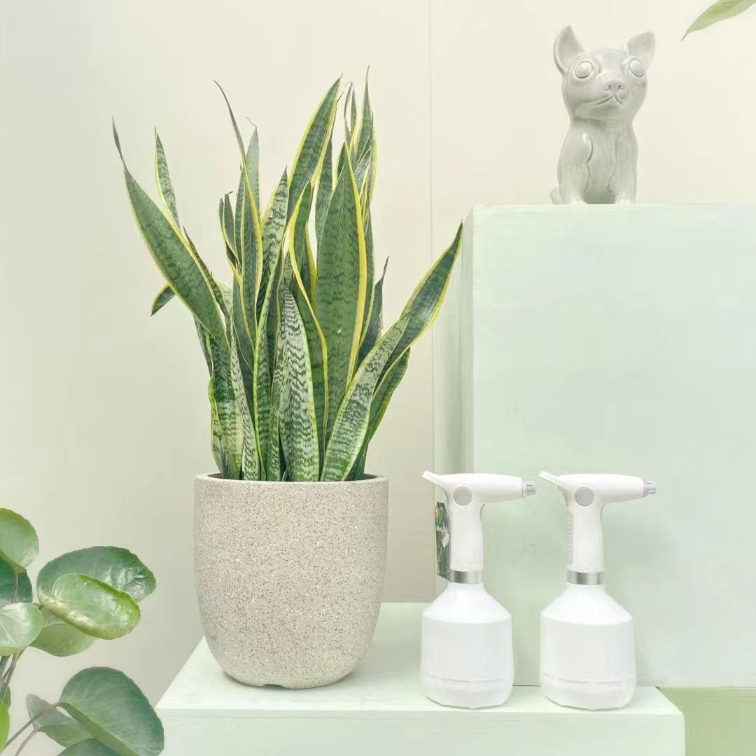 ΢��ͼƬ_20220913203428