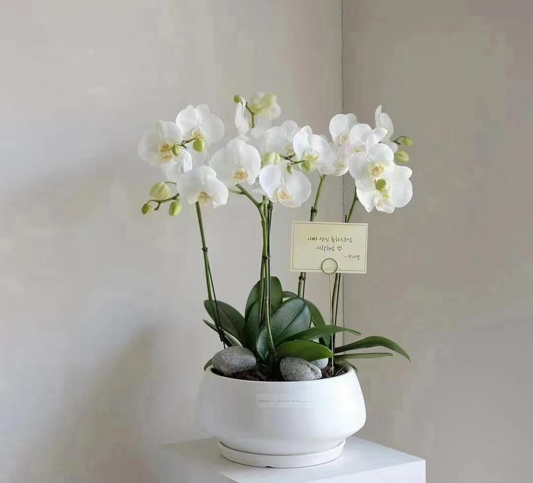 ΢��ͼƬ_20220702064111