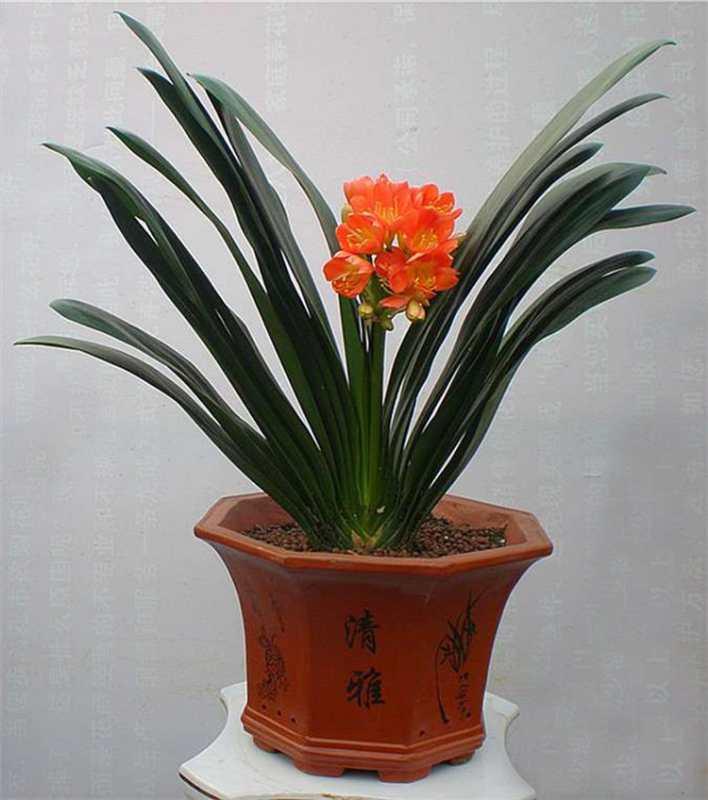 ΢��ͼƬ_20180918201706