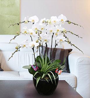 ������35