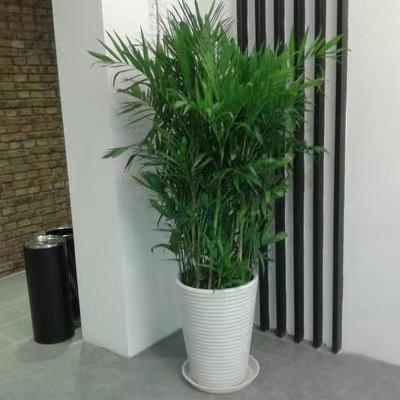 ΢��ͼƬ_20220520162904