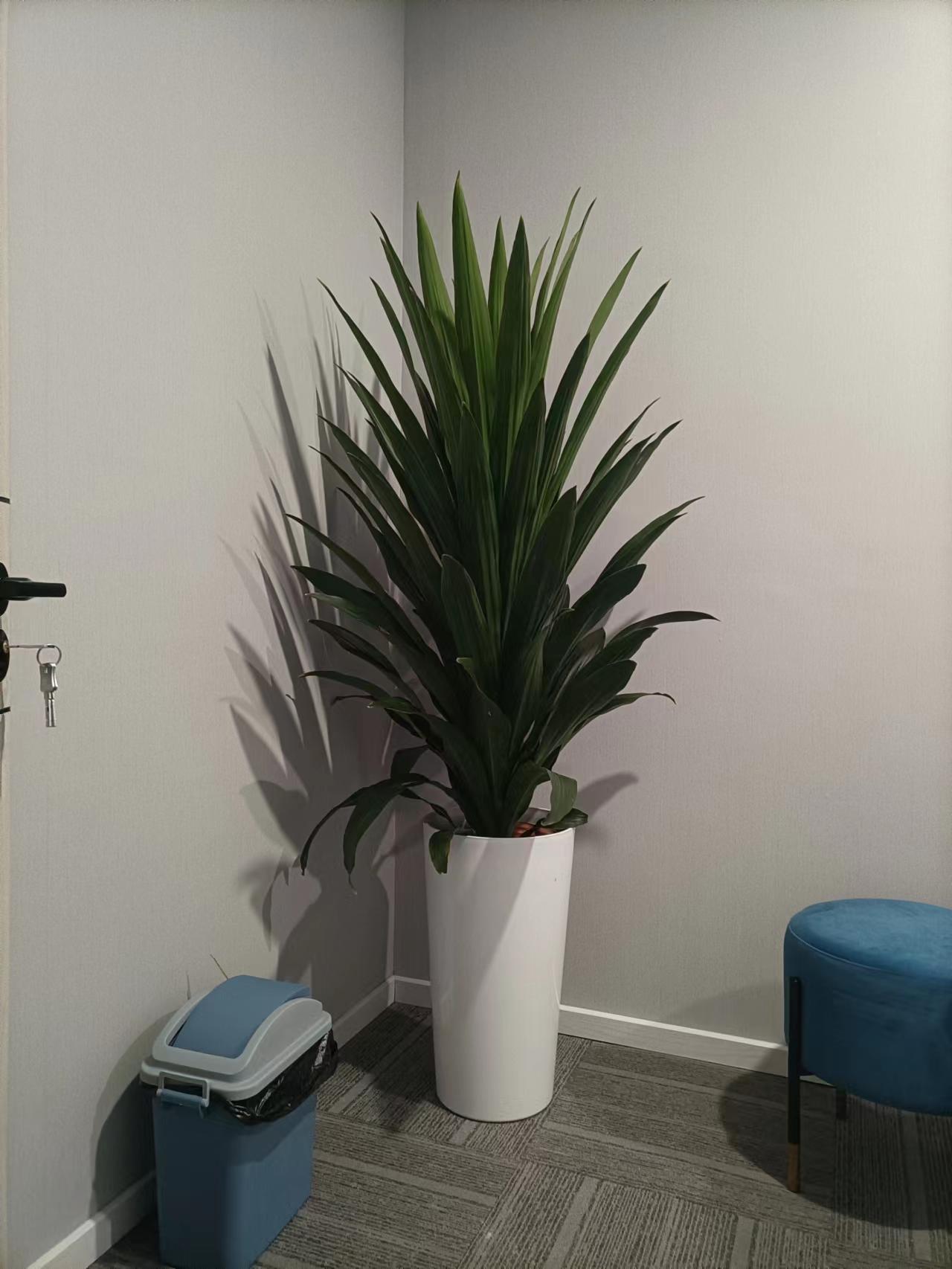 ΢��ͼƬ_20220901175031