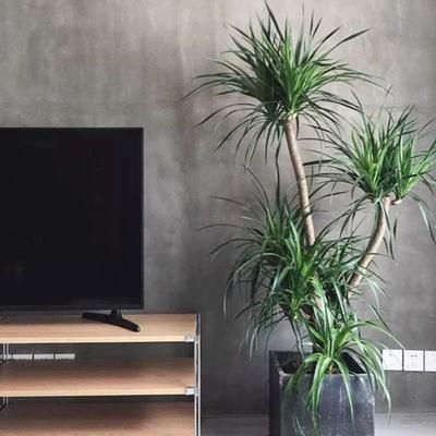 u=2319338979,2748612063&fm=26&gp=0