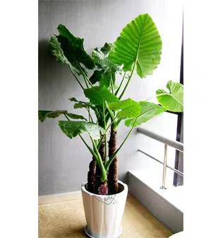 ΢��ͼƬ_20220520162805