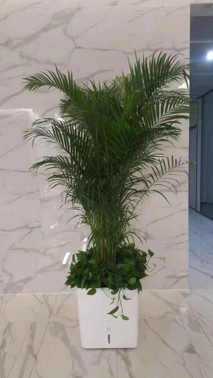 ΢��ͼƬ_20230226192124