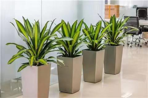 ΢��ͼƬ_20220704140846