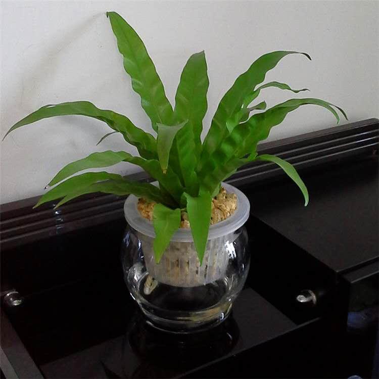 ΢��ͼƬ_20180918201644