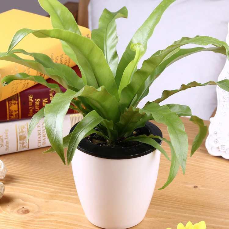 ΢��ͼƬ_20180918201655